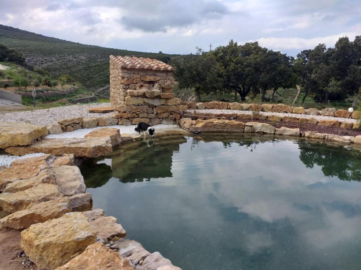 クーヤ Masia De Mariaヴィラ エクステリア 写真